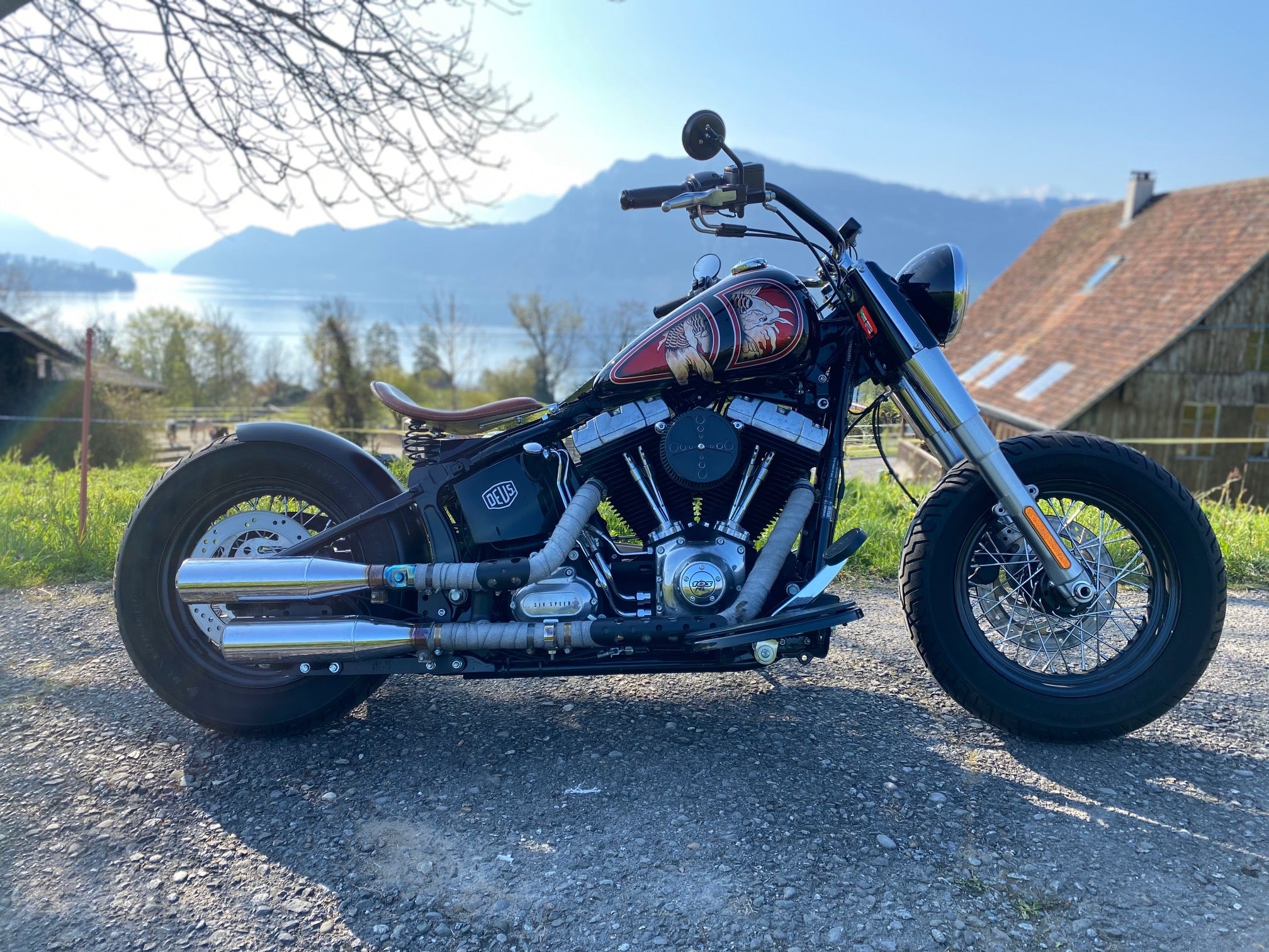 Custom bike 2014 Harley Davidson Softtail Slim